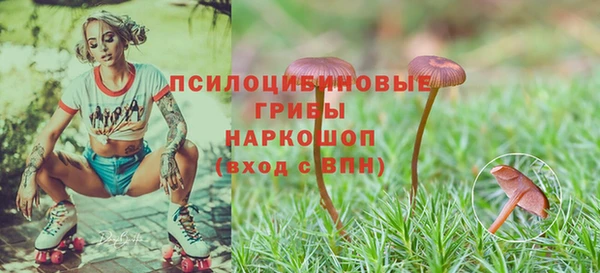 а пвп мука Балахна