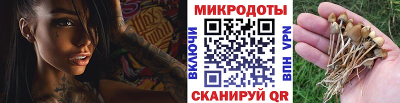 Галлюциногенные грибы прущие грибы  площадка формула  Ржев 